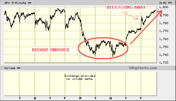 BEEHIVE SMASH.gif
