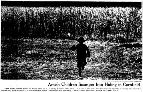 amish.jpg