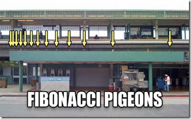 pidgeons.jpg