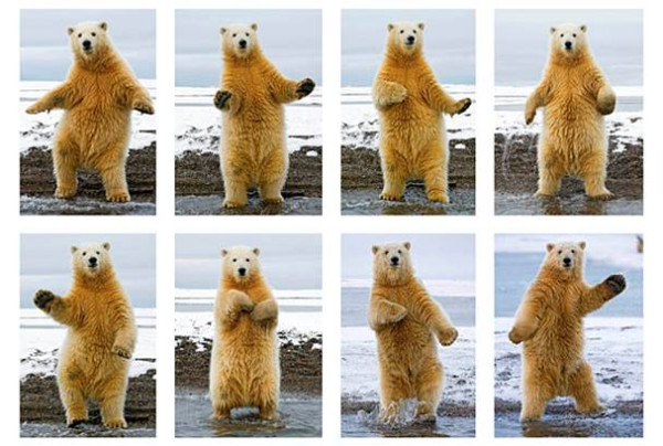 dance.jpg